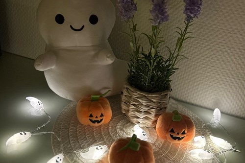 Aktuelles Bildergalerie