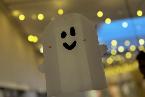 Aktuelles Bildergalerie