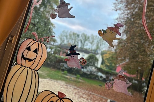 Aktuelles Bildergalerie