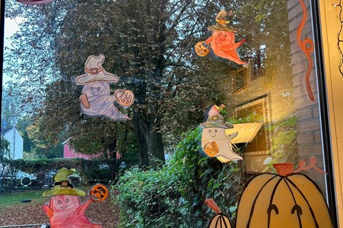 Aktuelles Bildergalerie