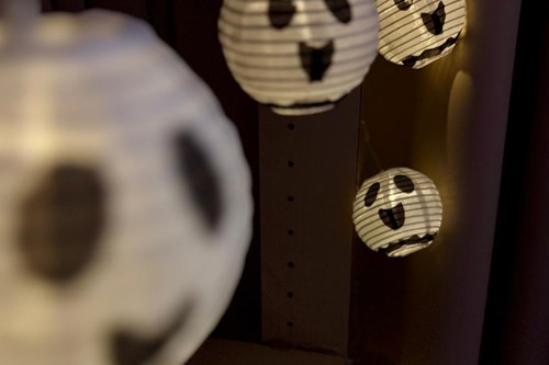 Aktuelles Bildergalerie