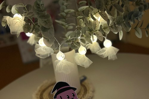 Aktuelles Bildergalerie